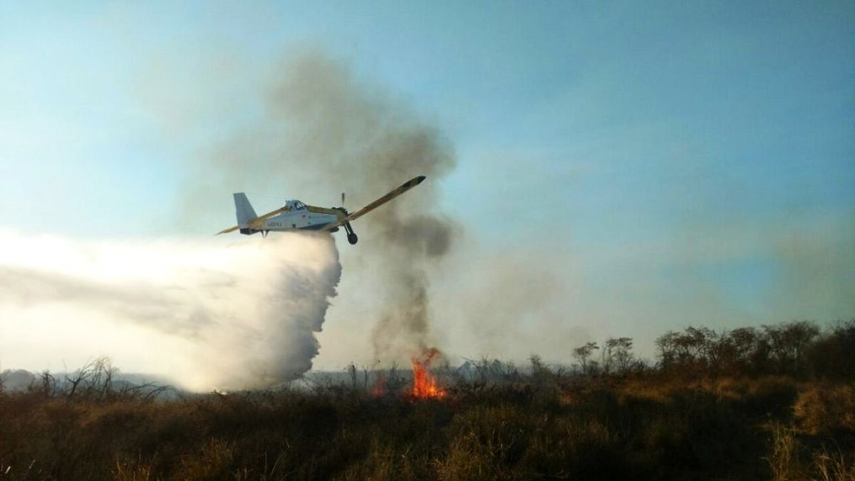 Jujuy los incendios forestales ya arrasaron casi mil hectáreas del