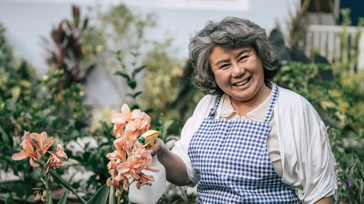 Qué lamentan más las mujeres al final de sus vidas un estudio de