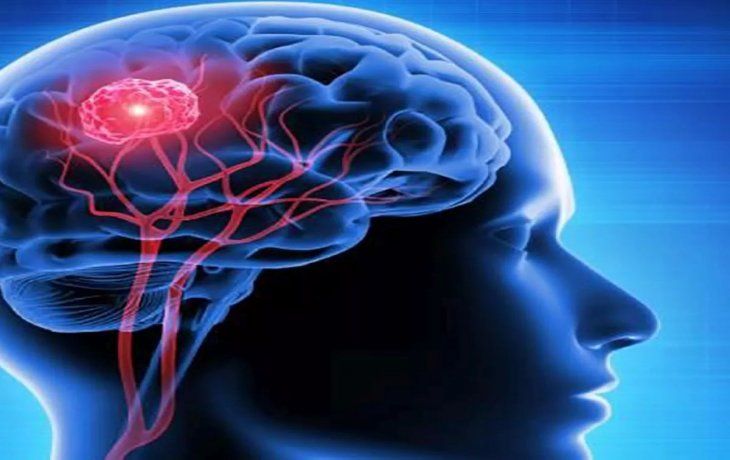 Cerebro Esperanzador Descubrimiento Para La Lucha Contra El C Ncer