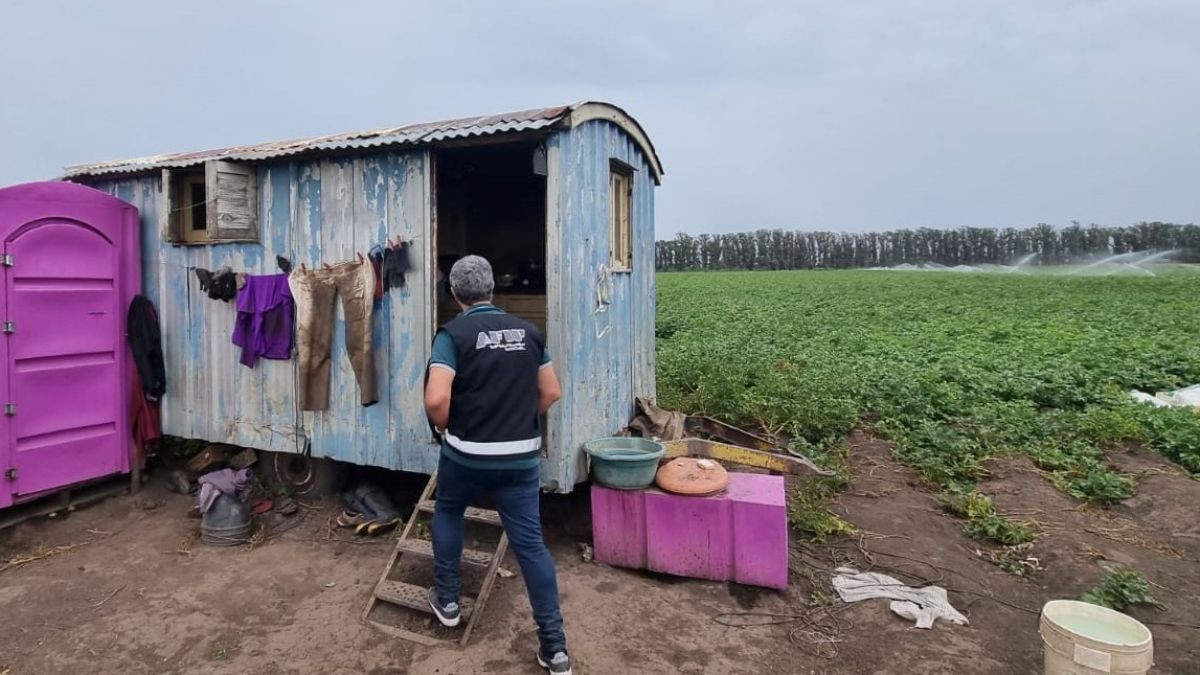 La AFIP detectó 17 casos de explotación laboral en campos bonaerenses