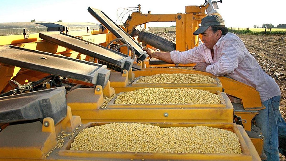 Empresas Agroexportadoras Liquidaron M S De U S Millones En Noviembre