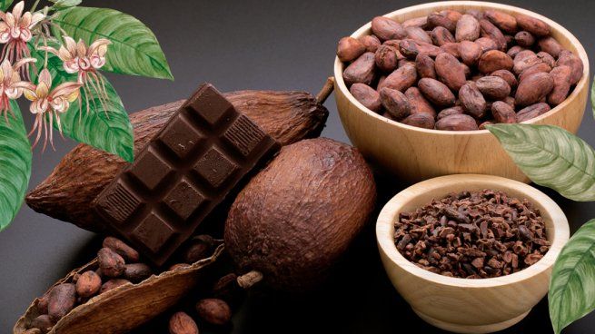 Día Mundial del Cacao por qué se celebra cada 7 de julio