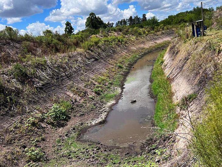 Emergencia Agropecuaria Las Medidas Clave Que Tom El Gobierno