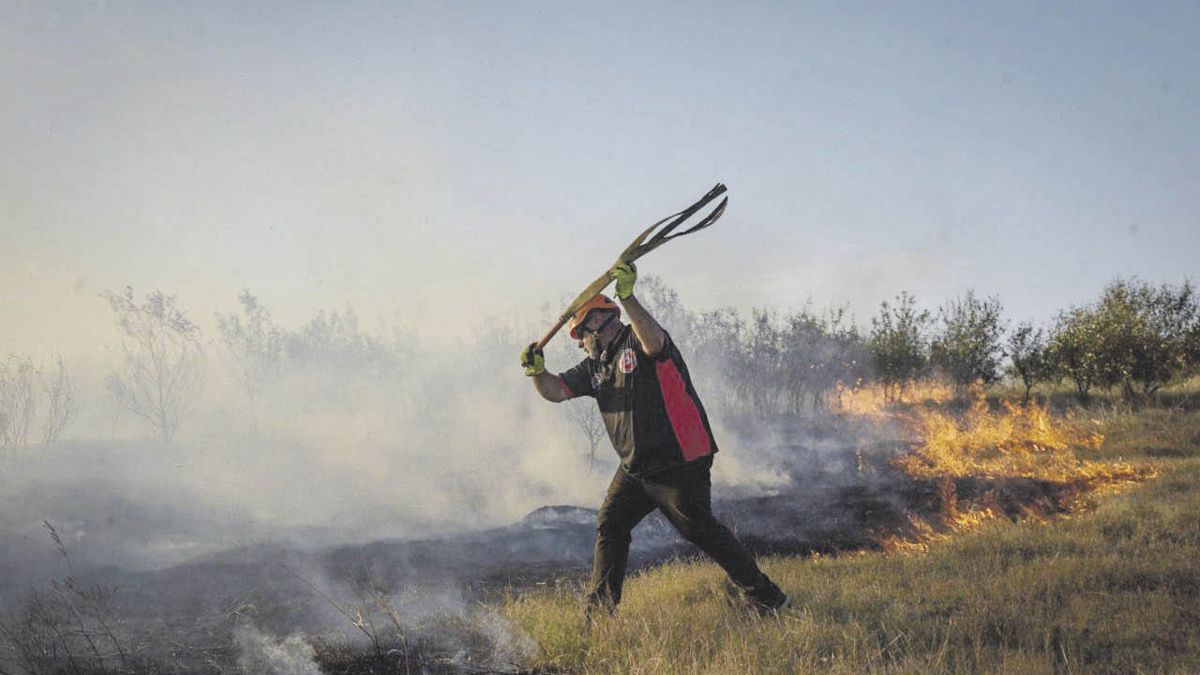 Casi 60 mil hectáreas de zonas protegidas fueron afectadas por