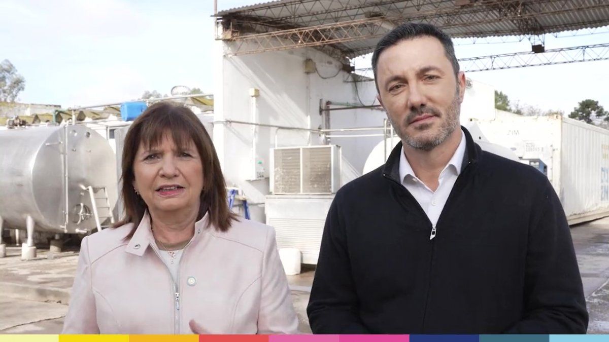 Patricia Bullrich Explic Por Qu Eligi A Luis Petri Como Candidato A