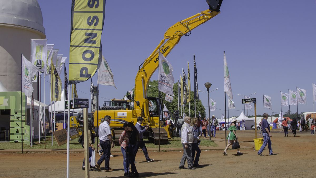 Misiones Prepara La Feria Forestal Argentina