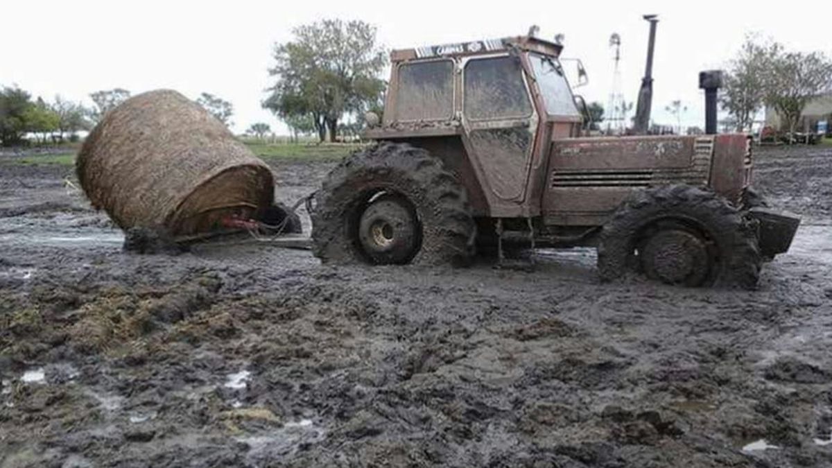 Estiman P Rdidas Por M S De U S Millones Por Inundaciones En