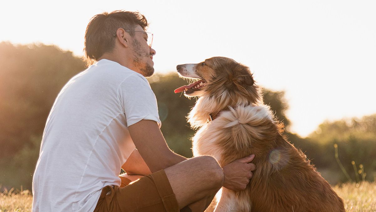 Cómo Entrenar A Tu Perro Para Que No Ladre A Otros Perros