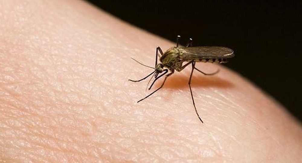 El Ministerio de Salud de la Nación indicó que se trata del brote más grande de dengue en la historia argentina.
