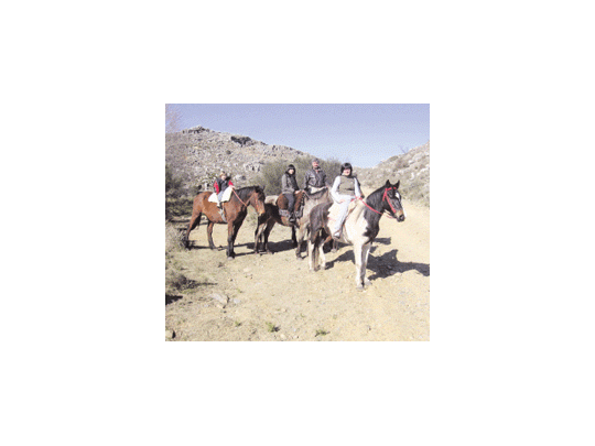 Tandil se renovó para seducir con su movida