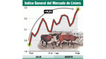 ámbito.com | Intentan frenar la suba en carne con subsidios