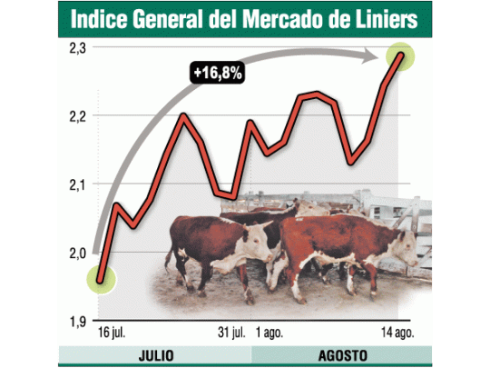 Intentan frenar la suba en carne con subsidios