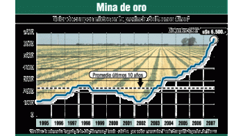 ámbito.com | Precios de campos no tienen un techo: subieron hasta 47%
