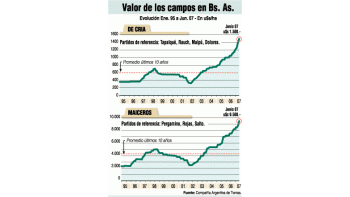 ámbito.com | Boom agrícola: los campos aumentaron 25% en un año