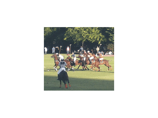 No hay evento que supere al Abierto de Polo de Palermo