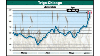 ámbito.com | Boom ahora de trigo. ¿Moreno en problemas?