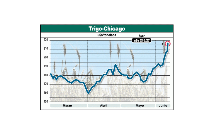 ámbito.com | Boom ahora de trigo. ¿Moreno en problemas?