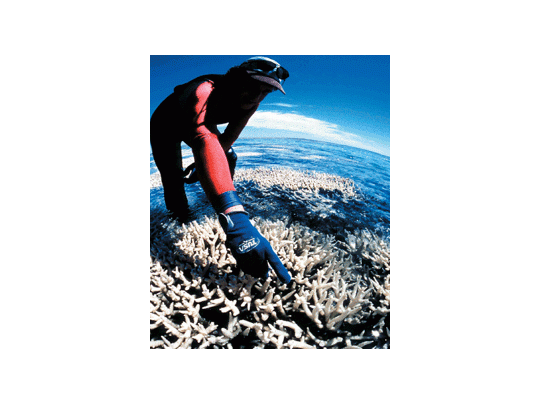 Sydney: Propuestas de la ciudad que buscó ser la del siglo XXI