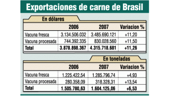 ámbito.com | Europa clausura carne brasileña: ocasión perdida