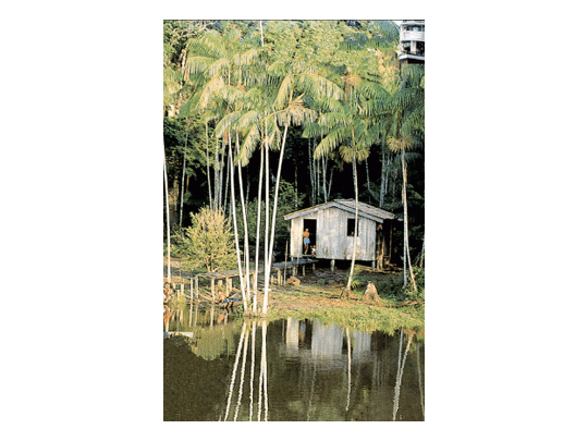 Una excursión al Amazonas hace sentirse explorador