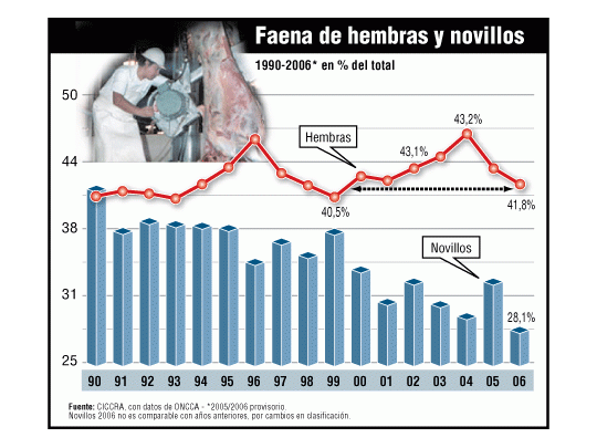 En noviembre pasado, las hembras representaron 45,7% de la faena total; en diciembre, ese porcentaje trepó hasta 48% del total.