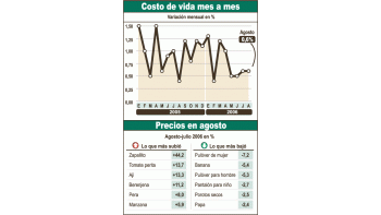 Los principales aumentos de precios estuvieron vinculadosa los alimentos, en particular, frutas y verduras. Claramentese destacó el zapallito, con una suba de 44,2% y en el añode 104%.