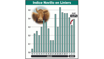 El Indice Novillo, que sufrió un «efecto serrucho» durante el último mes, se consolida ahora con valores más altos. Operadores indican que se mantendrá firme el mercado.
