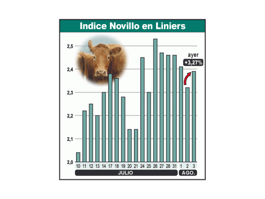El Indice Novillo, que sufrió un «efecto serrucho» durante el último mes, se consolida ahora con valores más altos. Operadores indican que se mantendrá firme el mercado.