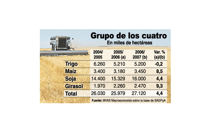 Monocultivo: país más sojadependiente
