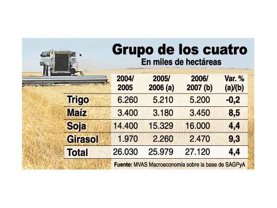 Monocultivo: país más sojadependiente