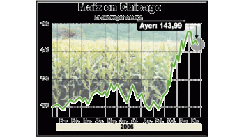 Maíz, mejor negocio del campo en 2007: subió 80%