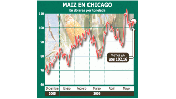 ámbito.com | El maíz muestra una tendencia al aumento desde principiosde año, luego de los mínimos registrados en diciembre de2005. Pese al efecto serrucho, el piso del mercado estámás alto.