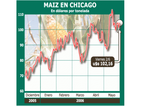 El maíz muestra una tendencia al aumento desde principiosde año, luego de los mínimos registrados en diciembre de2005. Pese al efecto serrucho, el piso del mercado estámás alto.
