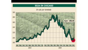 ámbito.com | Caída mundial en granos, ¿riesgo en la actual bonanza argentina?