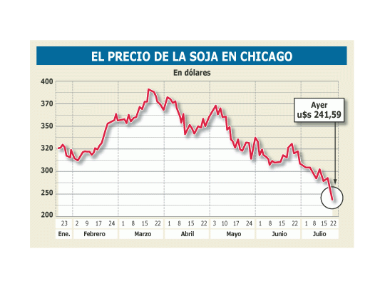 Preocupante: cayó otro 5% la soja y ya se pierden en 3 meses u$s 1.000 millones