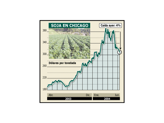 Sigue caída de la soja