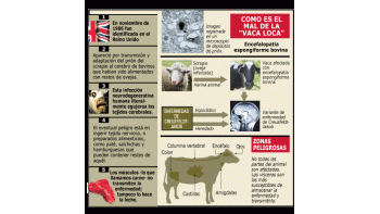 ámbito.com | Oficial: Argentina libre de vaca loca