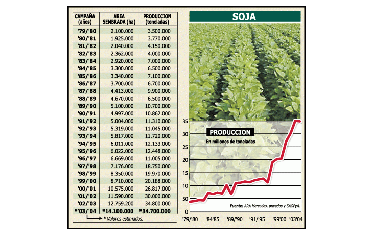 ámbito.com | Negativo: confirman fuerte pérdida en soja por sequía