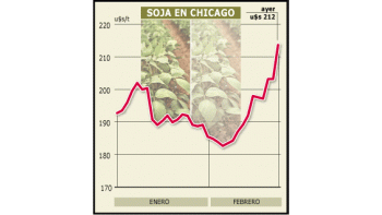 ámbito.com | Alivio para el campo: la soja subió 17% en 2005