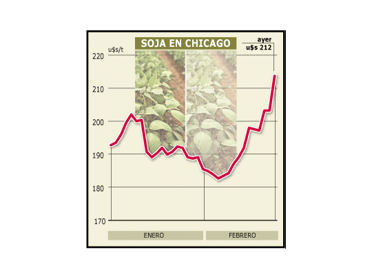 Alivio para el campo: la soja subió 17% en 2005