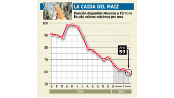 ámbito.com | Malo: maíz bajó ayer 5% en la Argentina. Peligra cosecha