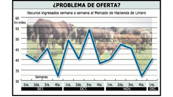 El gobierno ha hecho un seguimiento de la evolución de los ingresos en el mercado concentradorde Liniers durante los últimos meses y éste indica que la oferta cae durante la últimasemana del mes.