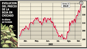 BOOM DE LA SOJA: EN UN MES PRECIO SUBIO 16%