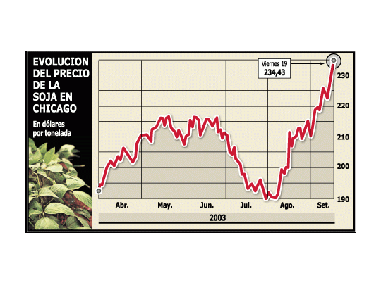 Boom de la soja: en un mes precio subió 16%