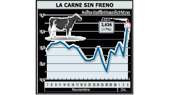 Sostenido aumento de los precios en el mercado de Liniers: impactan sobre el precio de la carne en góndolas.
