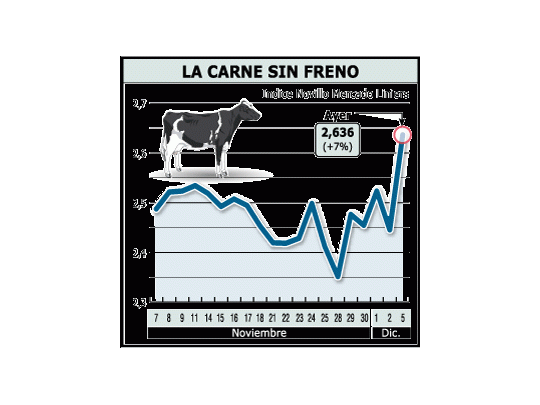 Sostenido aumento de los precios en el mercado de Liniers: impactan sobre el precio de la carne en góndolas.