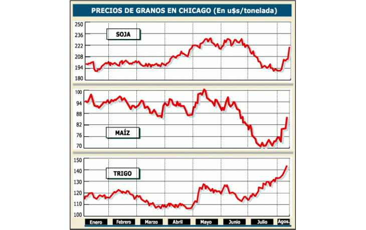 ámbito.com | Subió 5,4% más la soja