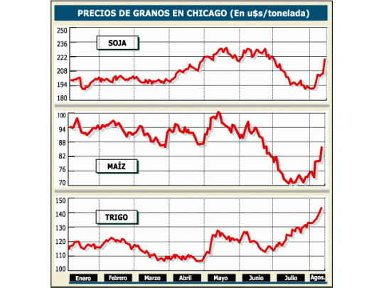Subió 5,4% más la soja