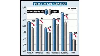 FUERTE BAJA EN EL PRECIO DE LA CARNE NO LLEGA AL CONSUMIDOR