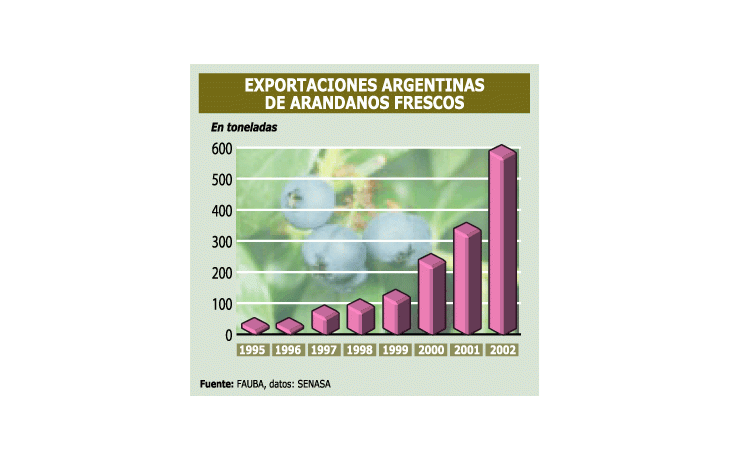 ámbito.com | Bueno: crece la demanda de arándanos en el mundo